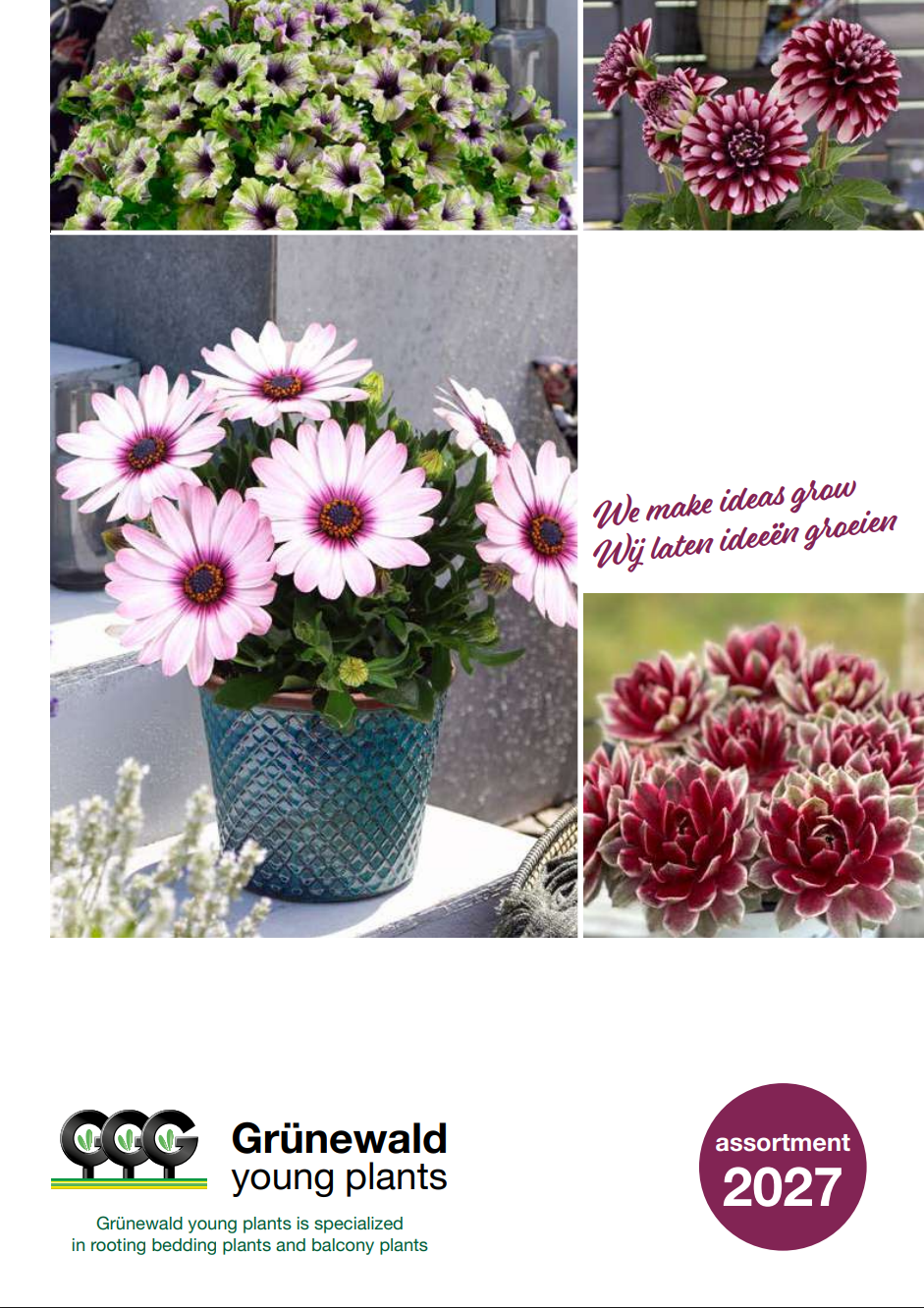 Jonge Planten Grünewald catalog 2027