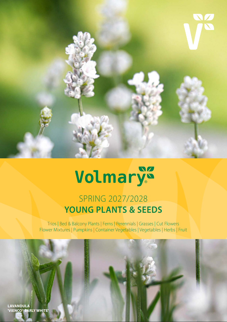 Volmary young plants and seeds Spring 2027/2028